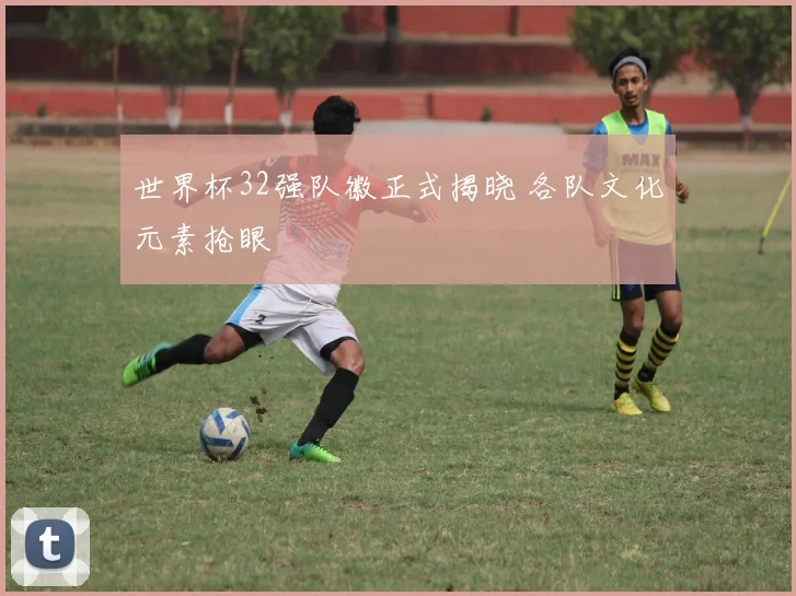 世界杯32强队徽正式揭晓 各队文化元素抢眼
