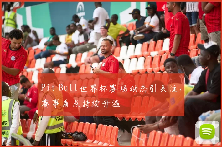 Pit Bull世界杯赛场动态引关注，赛事看点持续升温